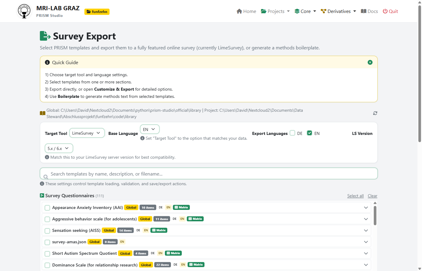 Survey Export page showing template selection, language settings, and export options