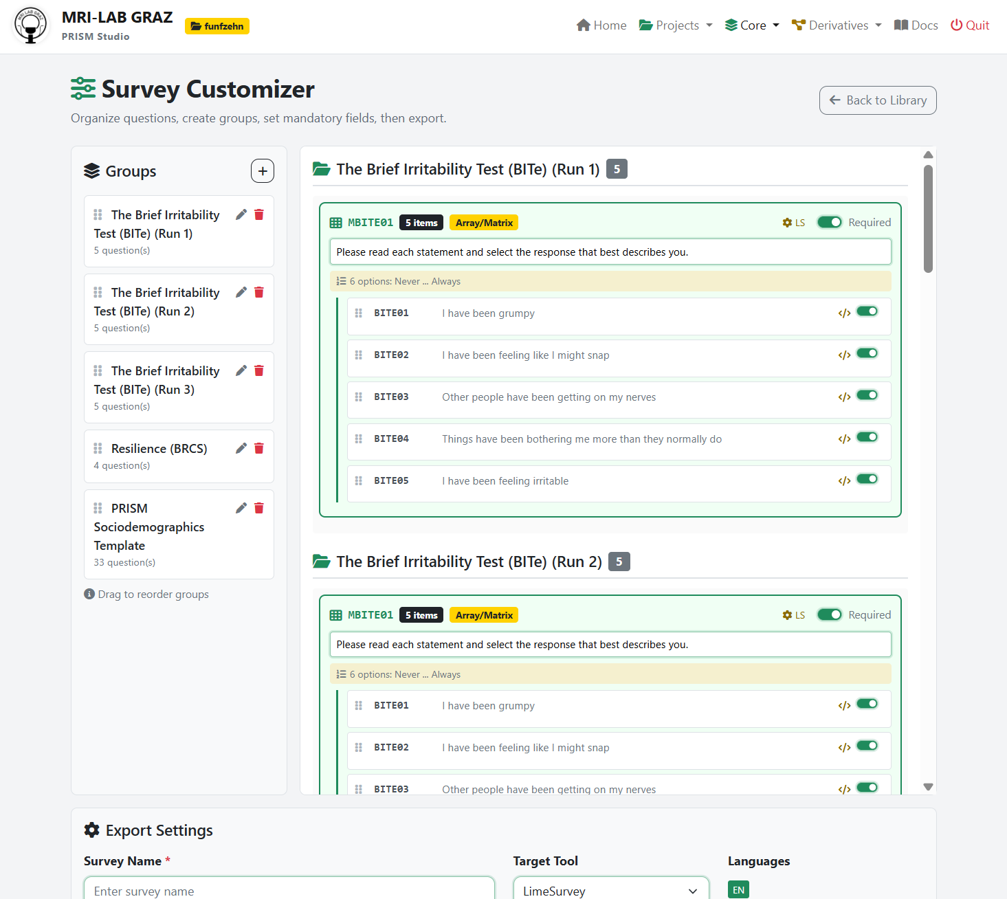 Survey Customizer overview: Groups panel on the left, questions with matrix grouping on the right, export settings at the bottom