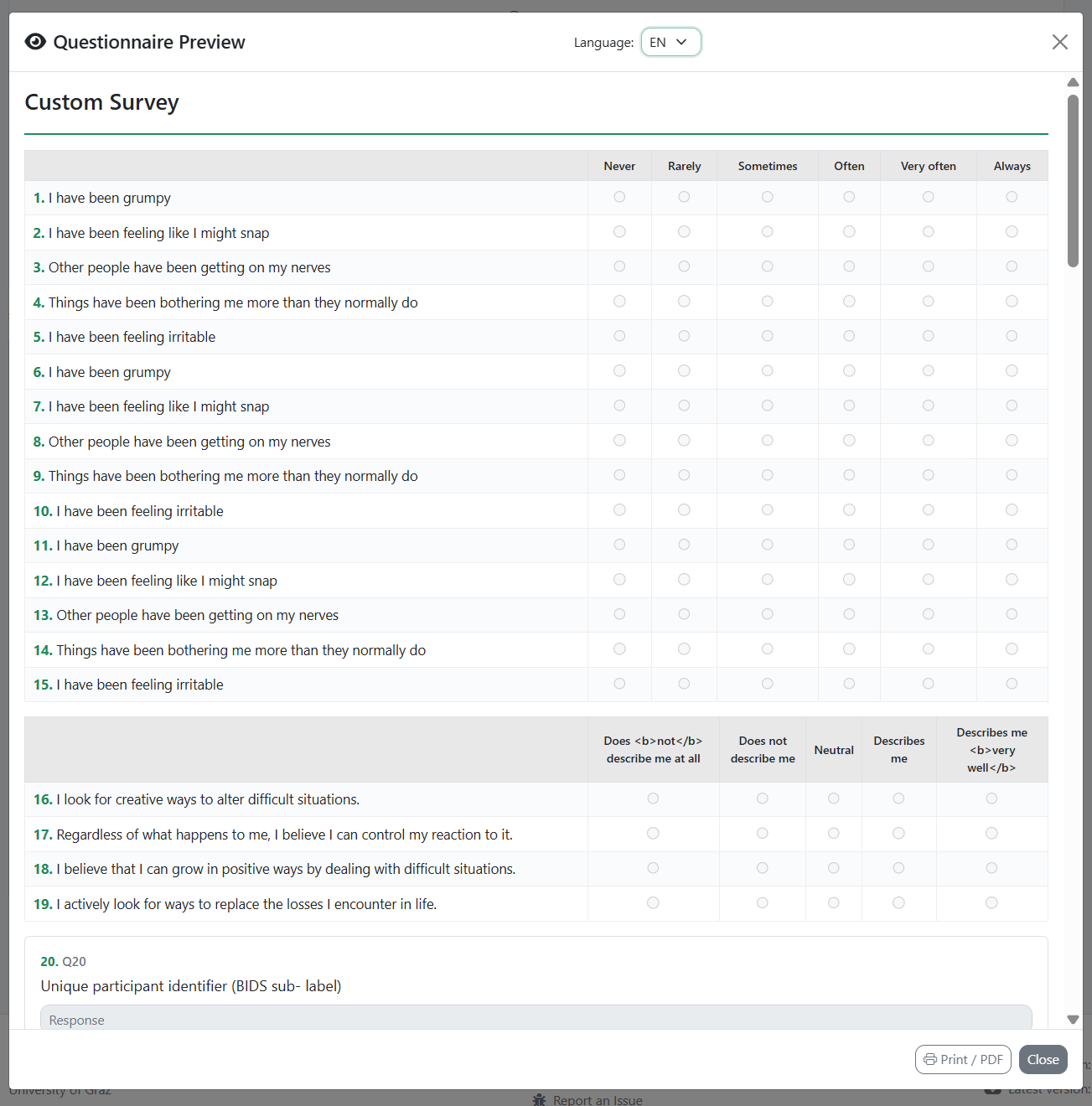 Questionnaire Preview modal showing matrix table with items and response options
